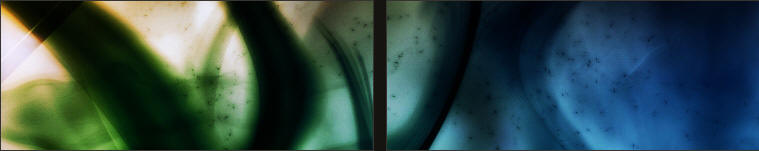 Way Out Science Blog